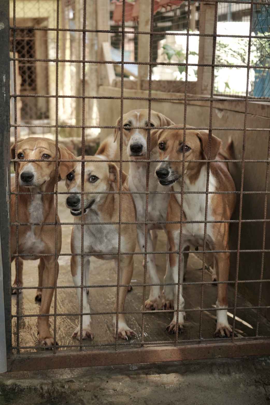 benihbaik_2022-09-28_07d9832b365d176173afa6a859d6e8386fb81214_jpeg