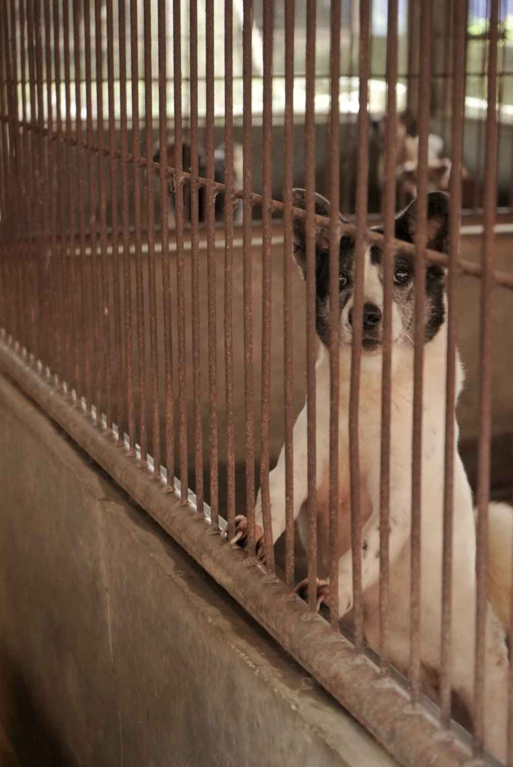 benihbaik_2022-09-28_286bee6092d537cf2f1a2e0a42edead3c2e034ff_jpeg