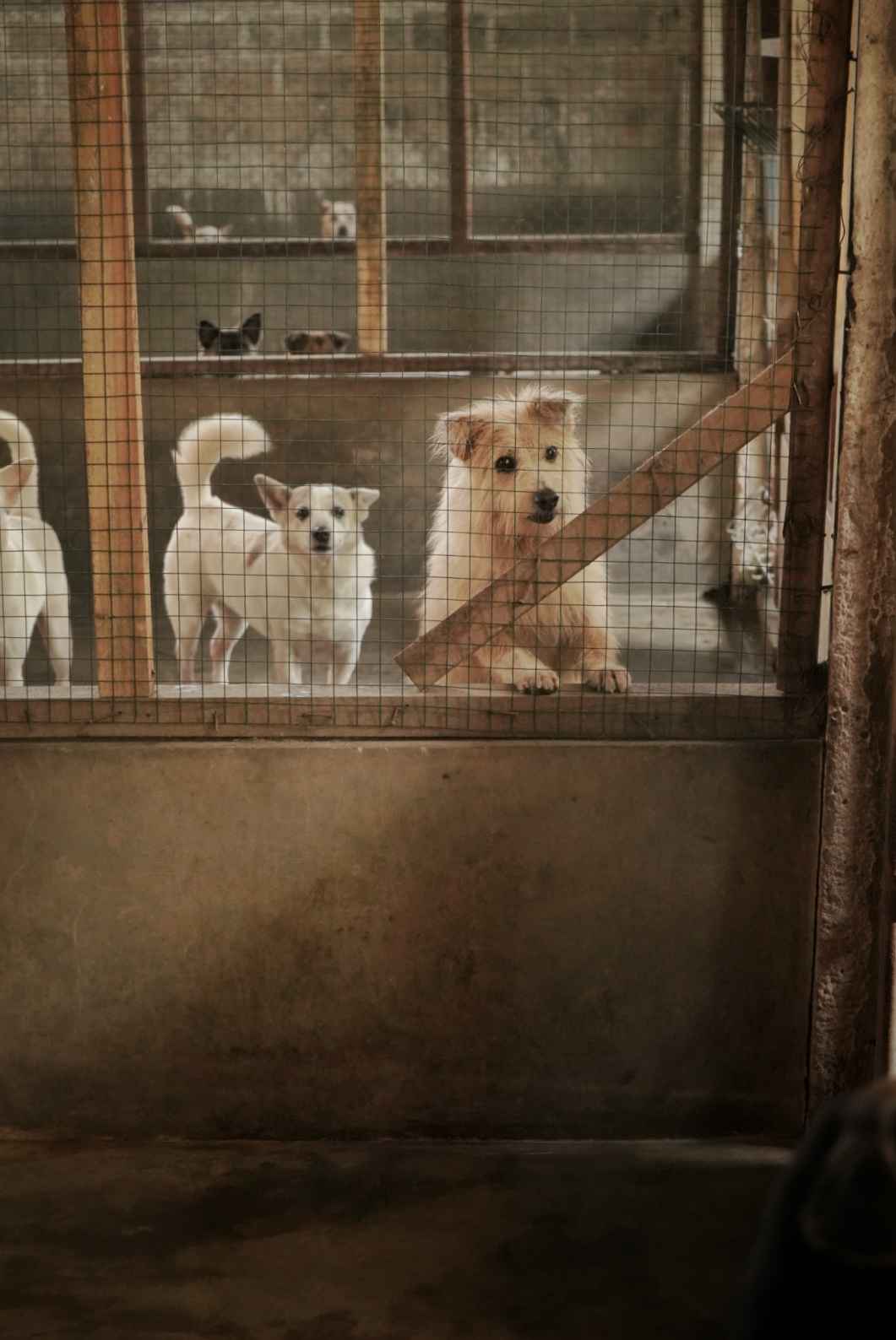 benihbaik_2022-09-28_64bbb8cd7fecc84e7a8a72623c4ef32d5d3ed436_jpeg