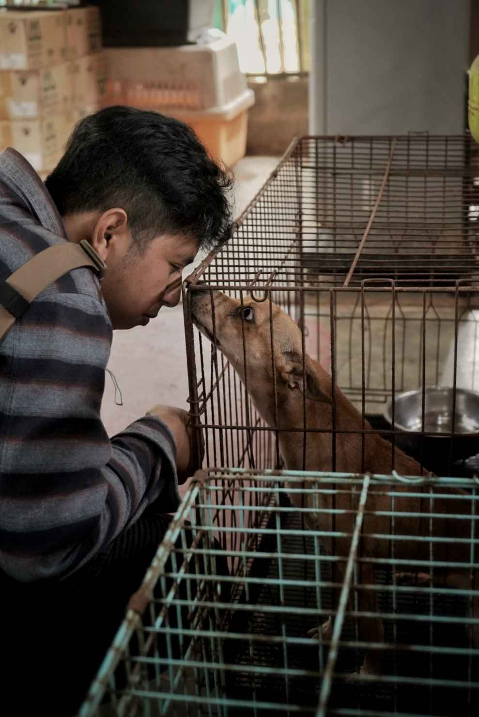 benihbaik_2022-09-28_7c576b988eff2f6c91b5841a104f061e678736e1_jpeg