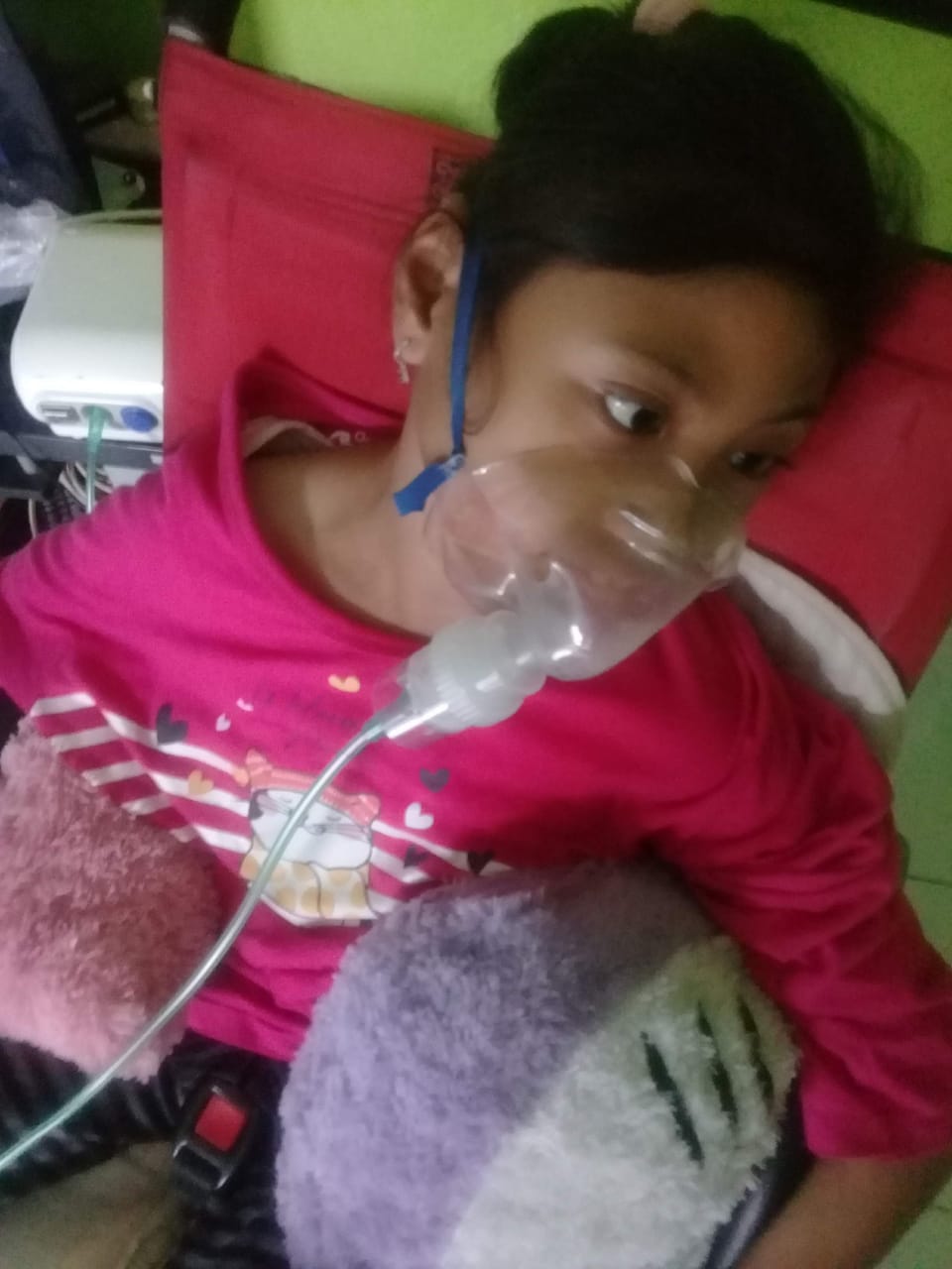 benihbaik_2022-09-29_2b719688c463a5aece72ba74c62fed61e847e826_jpeg