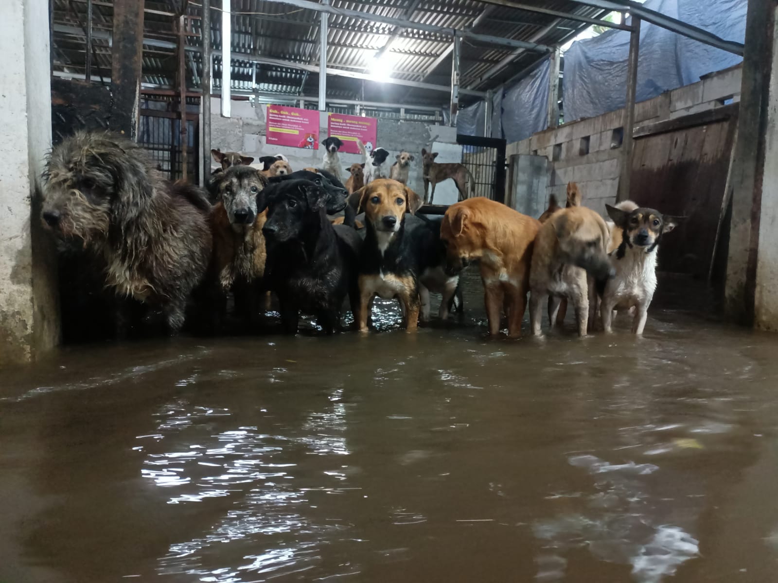 benihbaik_2022-10-07_71c173bdf9cfd48a5762a02b9b0f5a7c5dfc0333_jpeg