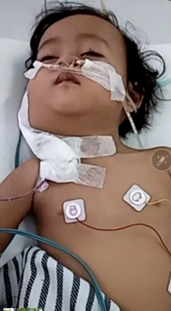 benihbaik_2022-10-07_7ab4c49f0fd38c56dff039f4c4a805ef317a9dc7_jpeg