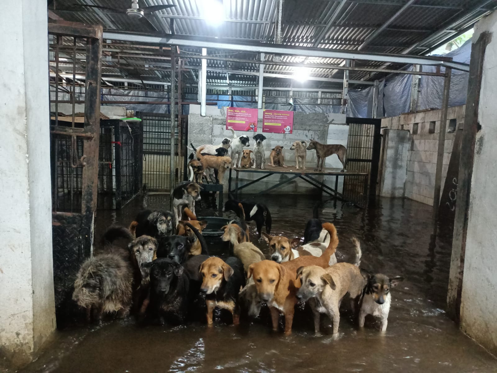 benihbaik_2022-10-07_7d3cd790ba0f9987c7907b9713ff476c44149e8f_jpeg