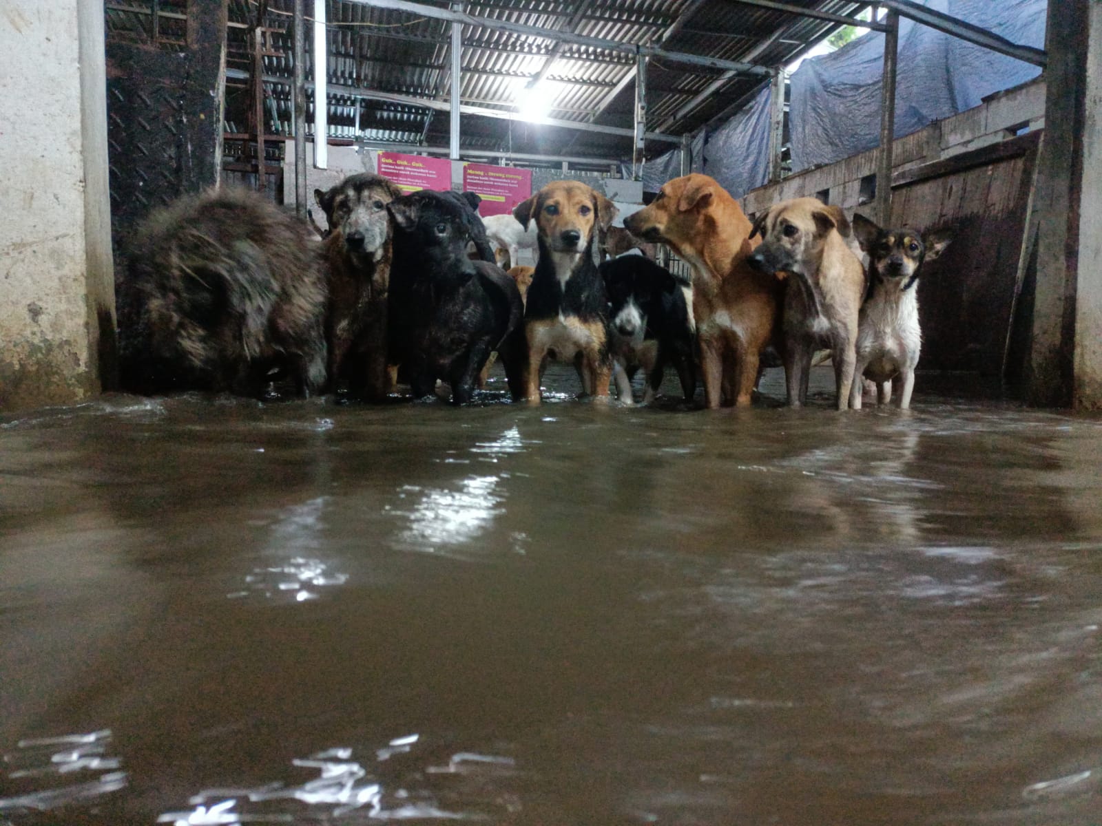 benihbaik_2022-10-07_f5fc57353be5cbc6b461d3c3db8ee1815b993481_jpeg