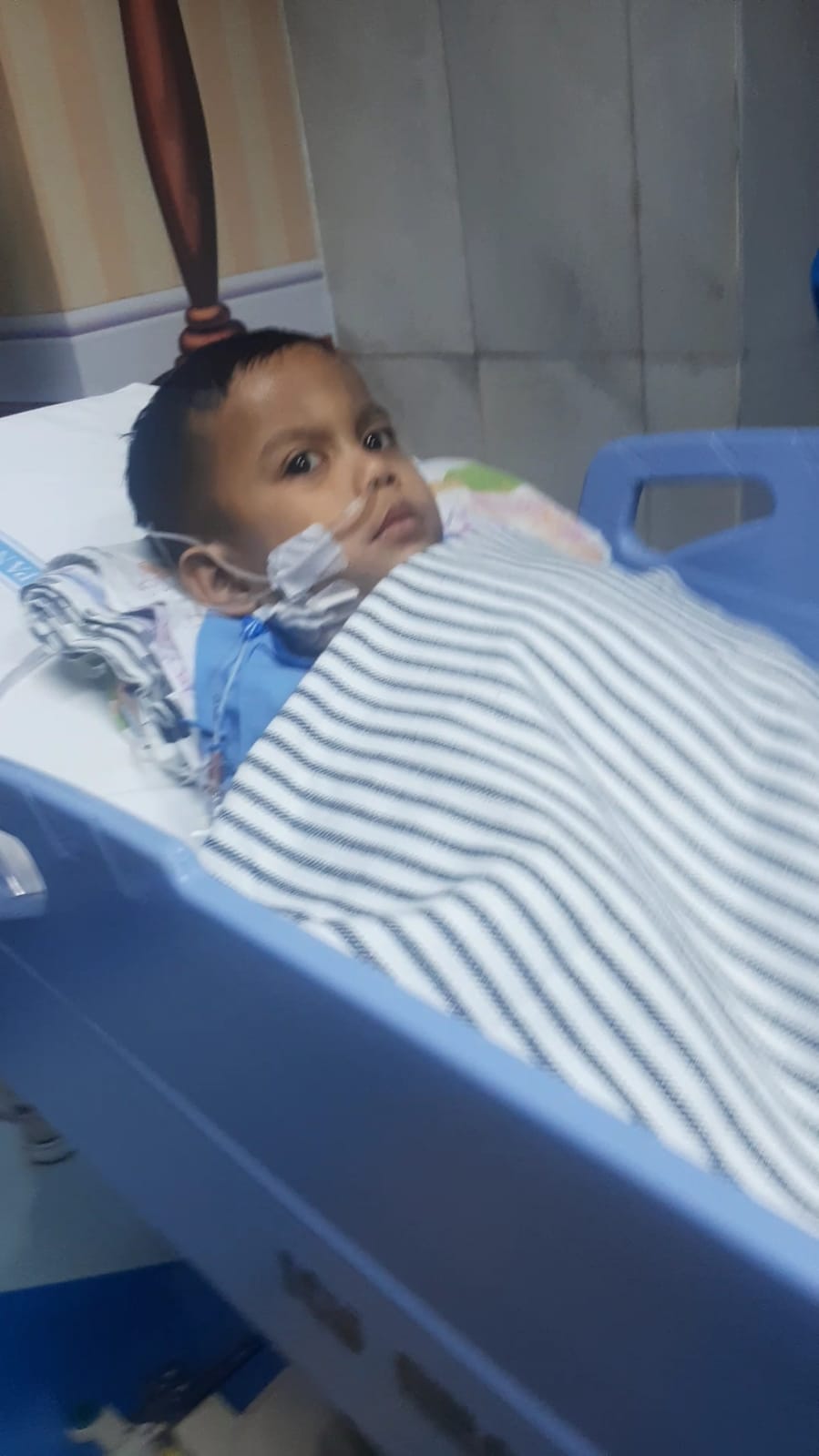 benihbaik_2022-10-10_c68392c5719849628154613f9fcd093aed45a3e0_jpeg