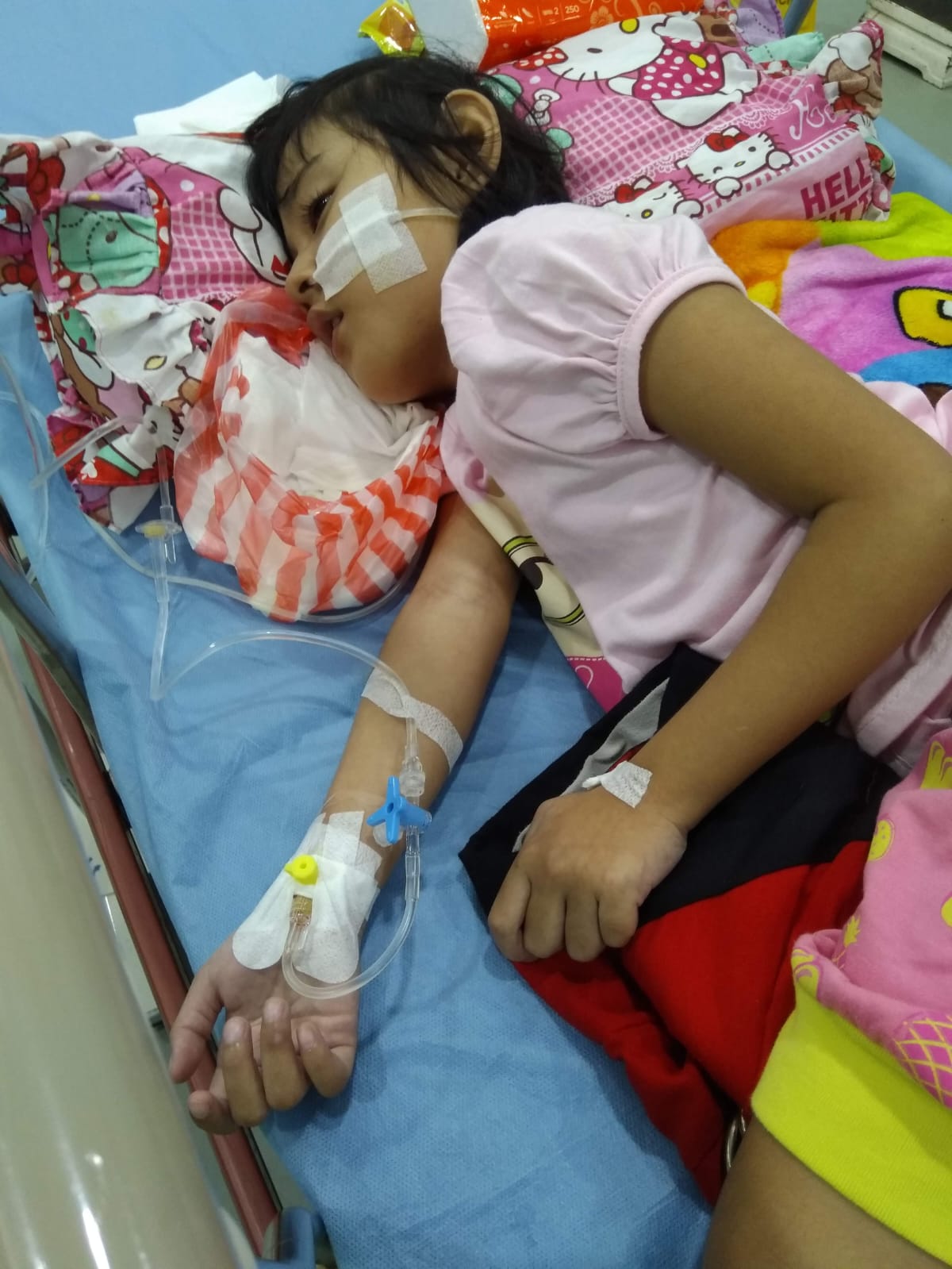 benihbaik_2022-10-11_38f865fb4661eb166353b9b1ca06f70da3c432ad_jpeg