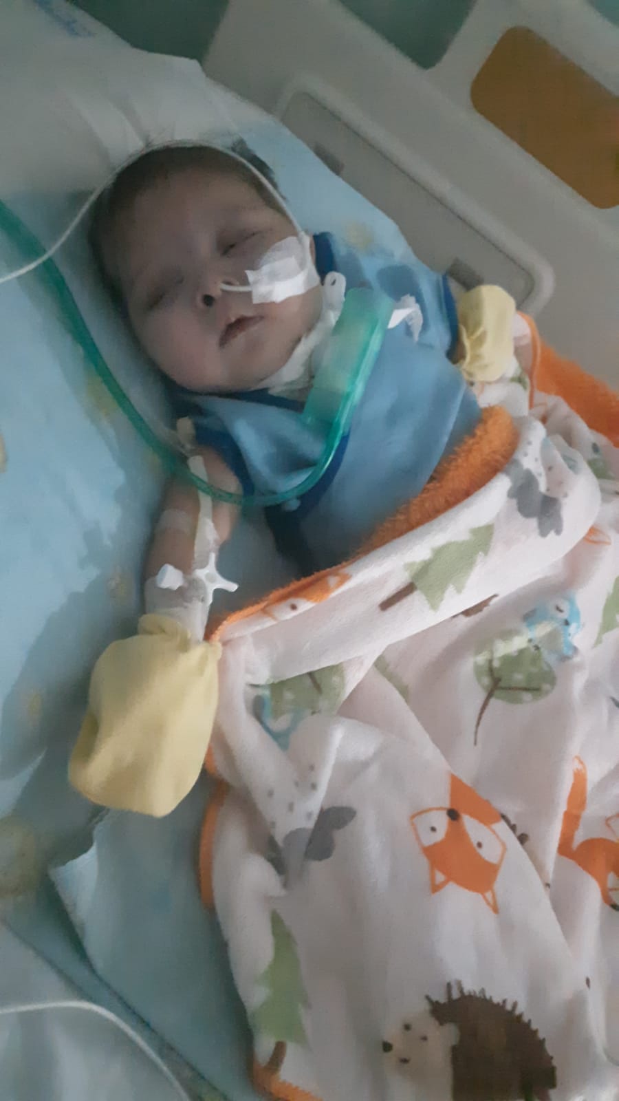 benihbaik_2022-10-12_b726e6f3bab53a58db44c727daf21ee2d2b5ac49_jpeg