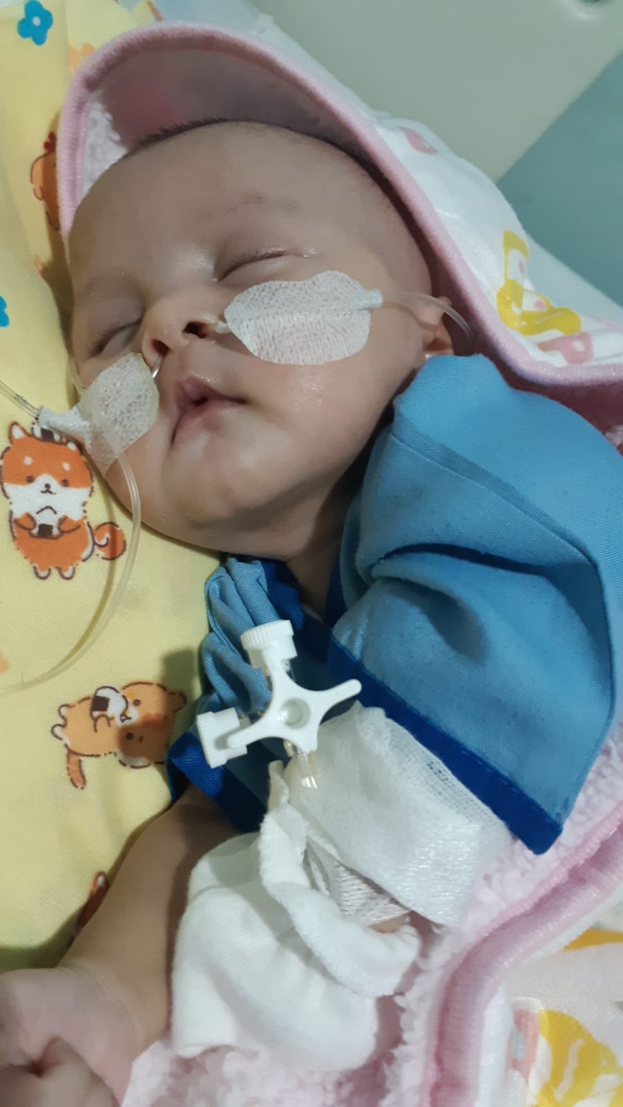 benihbaik_2022-10-12_bbac368434f0f2dc76615165c435c145de68dca9_jpeg