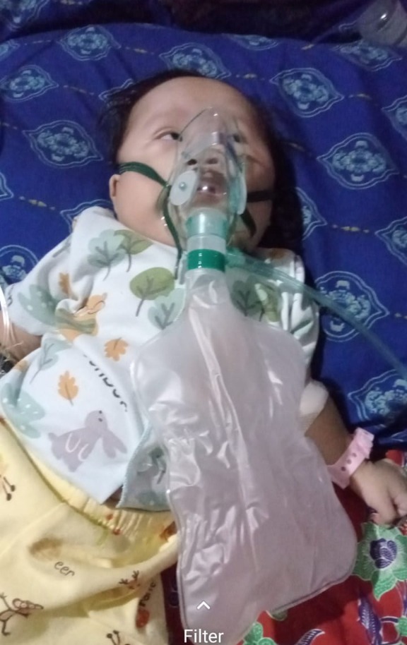 benihbaik_2022-10-20_5e152066c02673169f0a64bf60c298ba126b074b_jpeg