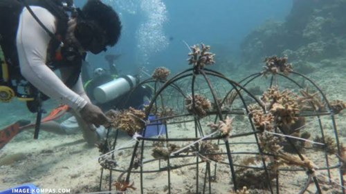 benihbaik_2022-10-20_84e71a29f8e4c1c17de21989974bb02dd73f4202_png