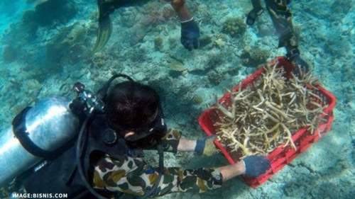 benihbaik_2022-10-20_aa49a7870a8fbe44c2d73922bcbf58a2326ebeee_png