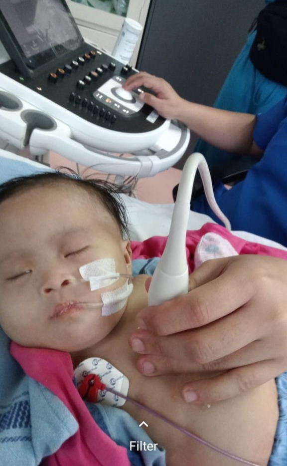 benihbaik_2022-10-20_b87ad2407fcc80d4213e37143d7d7903dc805f02_jpeg