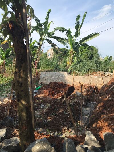 benihbaik_2022-10-21_c860d688b87ee8293d1d6f4b9c69f5f3b8991bd8_jpeg