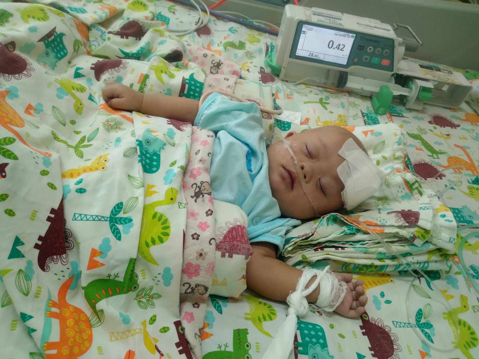 benihbaik_2022-10-25_4eb601fa92c0a46b3718c812b69fb34288888e43_jpeg