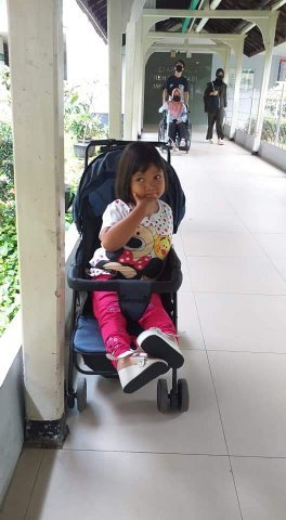 benihbaik_2022-10-28_078b76ced0e1c8f81a6ec4e220487d5d33e1bd27_jpeg