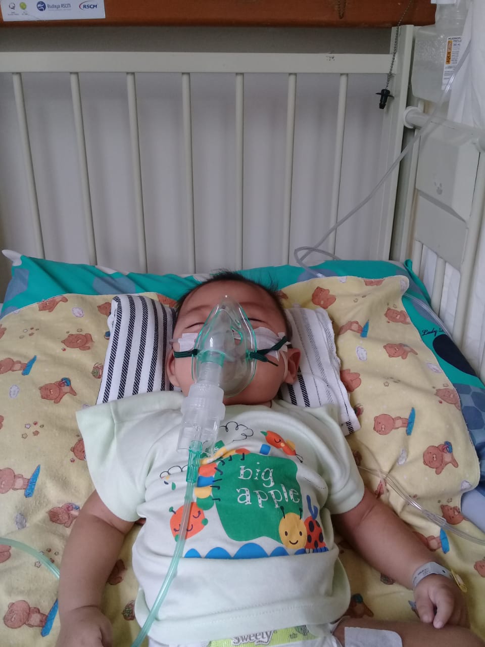 benihbaik_2022-11-01_adbe515a2824ab3574073eb47ba5f5e8cde16470_jpeg