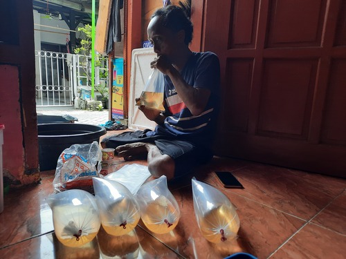 benihbaik_2022-11-04_a315acebfe63cdc10029b702c3ea869e87839f36_jpeg