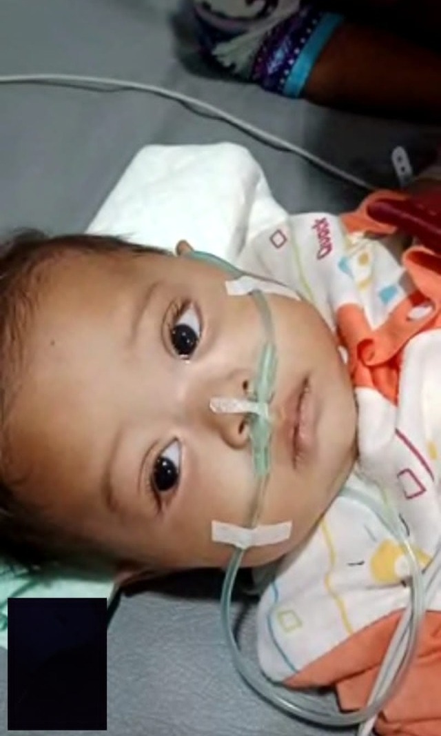 benihbaik_2022-11-04_f0a55d784cbf19afcc1dc9e0db404047401877fc_jpeg