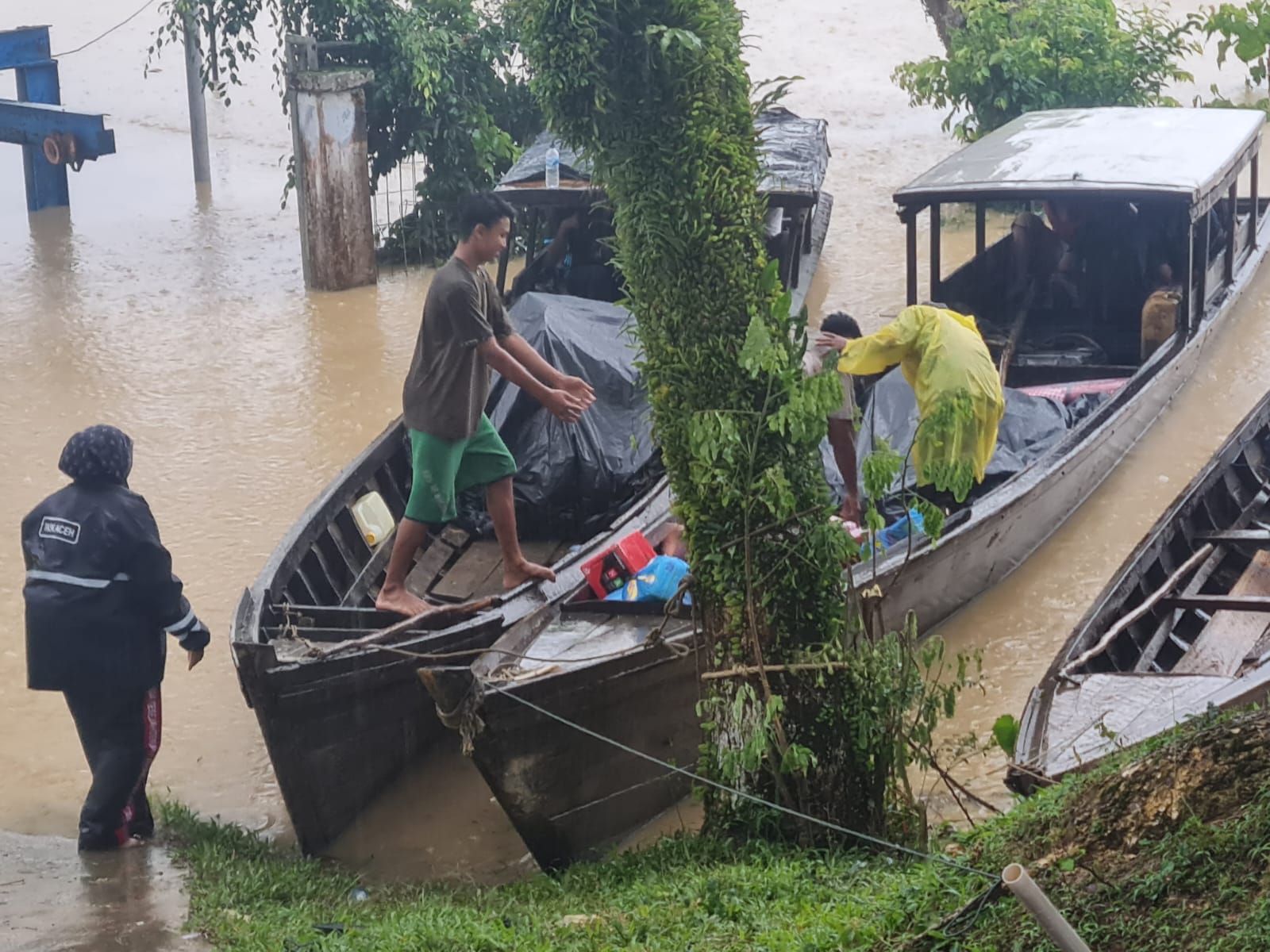 benihbaik_2022-11-09_b01fb5389cfe0e87c96e440fdd323764218ff53e_jpeg