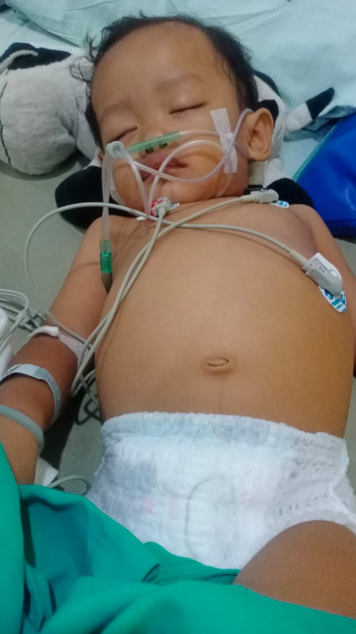 benihbaik_2022-11-10_03a21b355a422870db9b6ada7c557afa80415955_jpeg