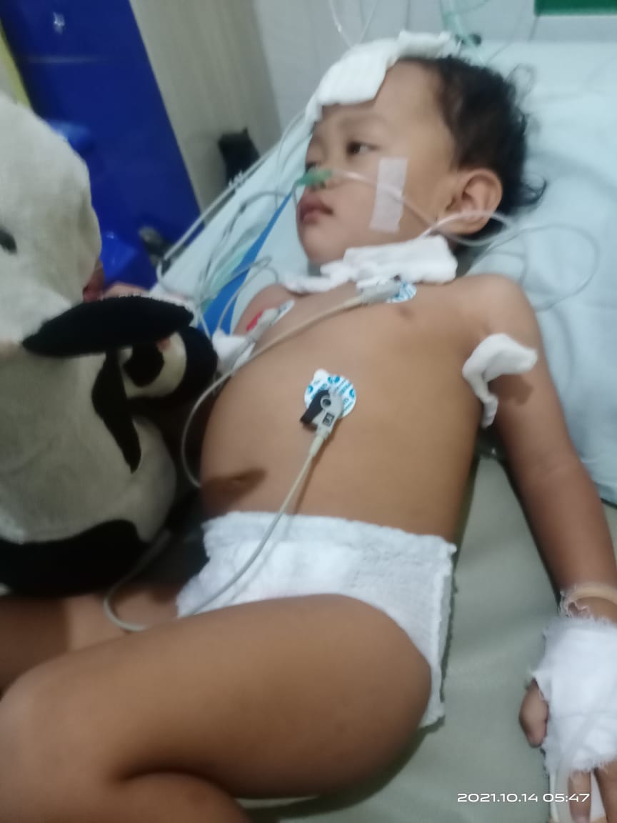 benihbaik_2022-11-10_5aa9247bf196a5df17972f25b7ea12d837fb9434_jpeg