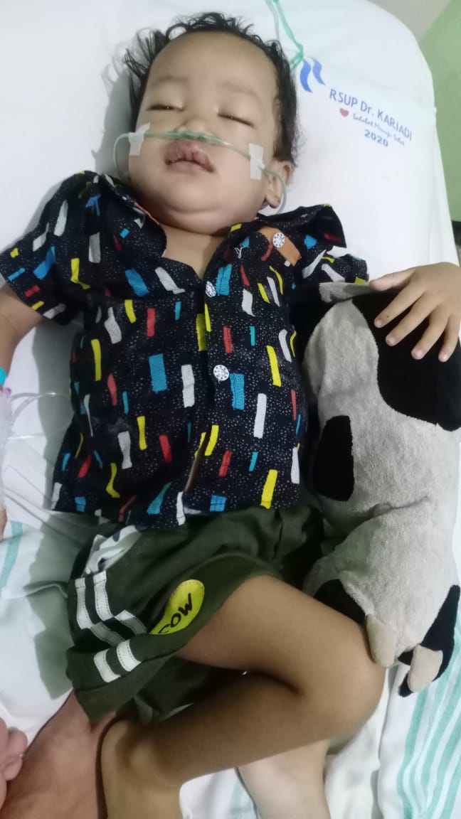 benihbaik_2022-11-10_dd701349b96f539139cc663fd91902f656c12a05_jpeg