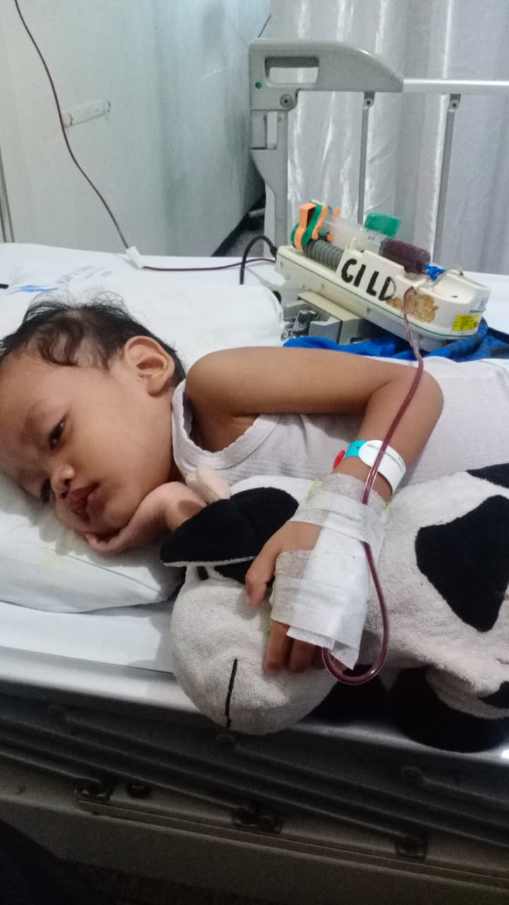 benihbaik_2022-11-10_e6c4b948f01b241720f65126b0a7ecbdc168d969_jpeg