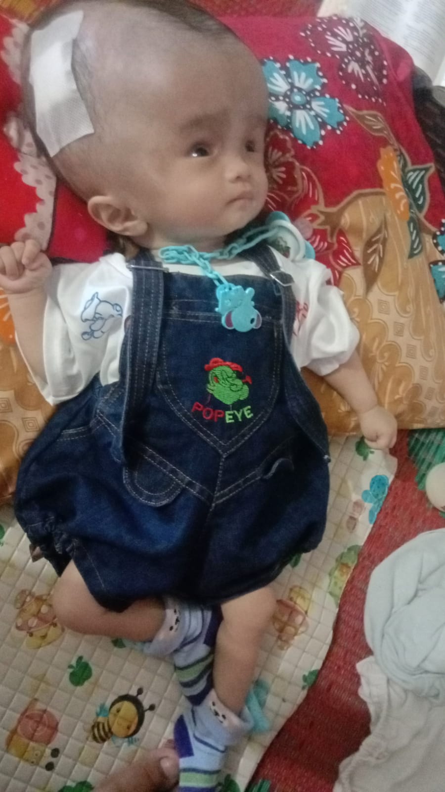 benihbaik_2022-11-14_1908007d16f3aa33b6516792c7be7e4f708eff30_jpeg