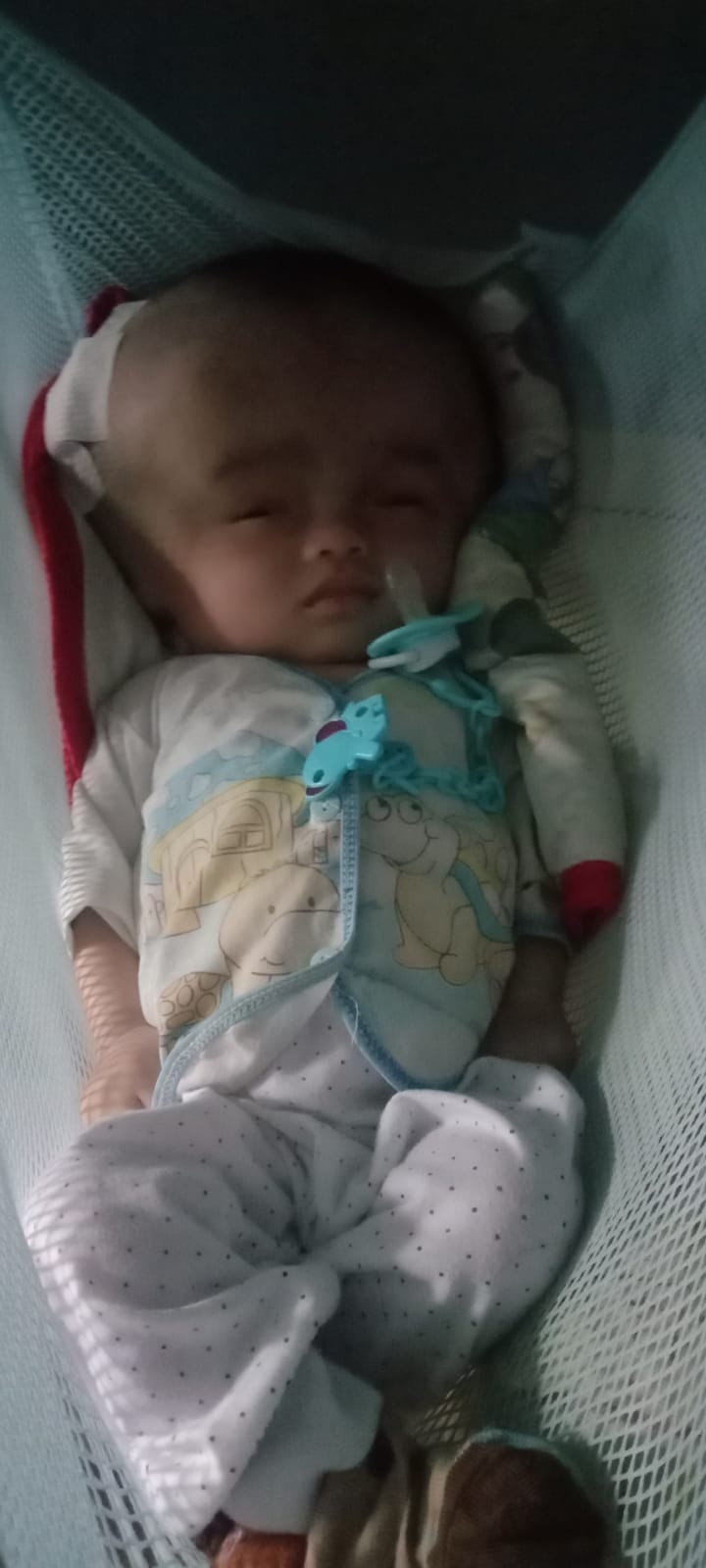 benihbaik_2022-11-14_314cc8bbc263b70a614baca1cc39b376d8882a28_jpeg