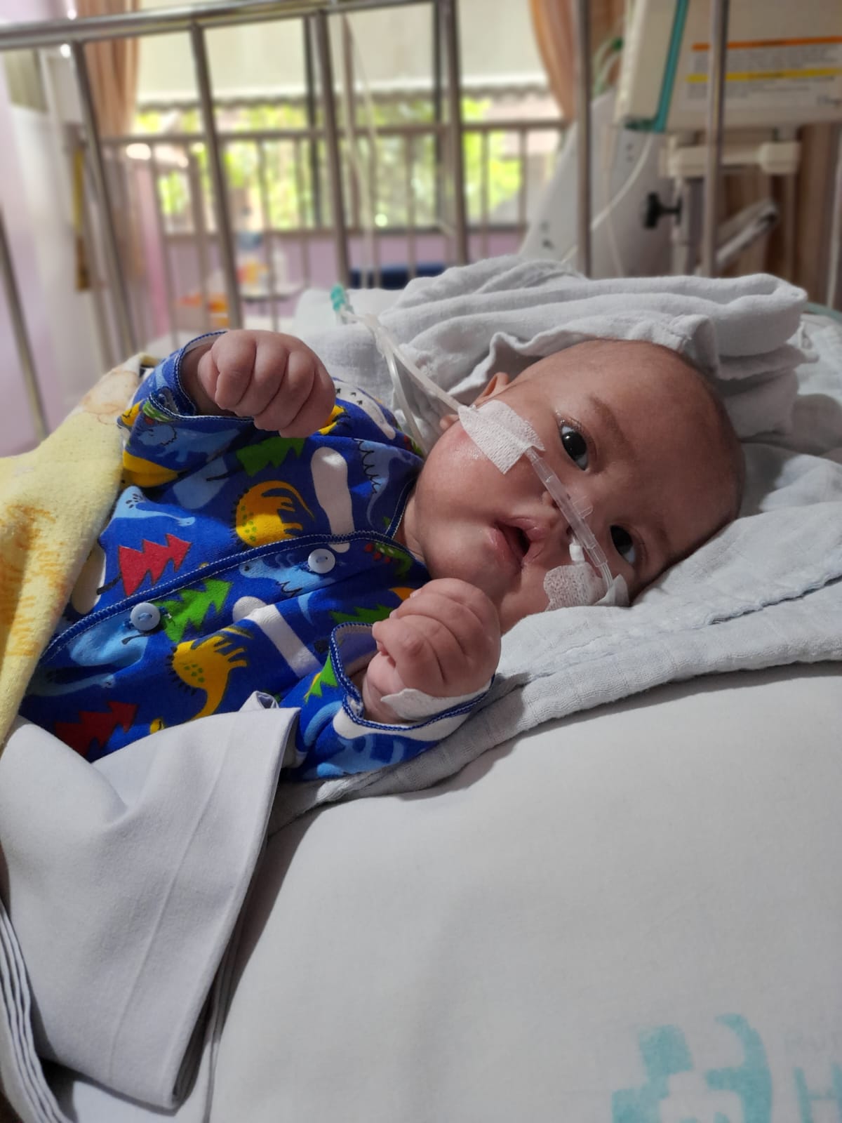 benihbaik_2022-11-17_185f5b61e90170f6385dd8fc340e8a6eeac002d2_jpeg