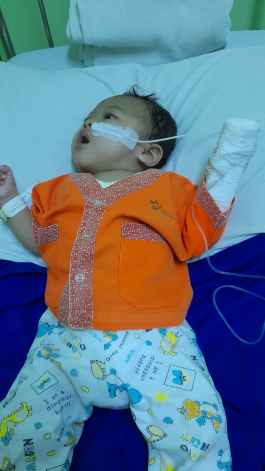 benihbaik_2022-11-17_2e6130d4757f88c679b46e1ed6ea188f317ee57c_jpeg