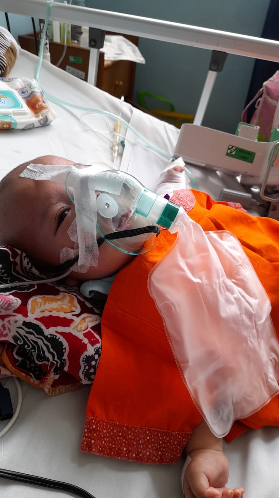 benihbaik_2022-11-17_d174766530b2f2adc49f3657d413558ccfa9df46_jpeg