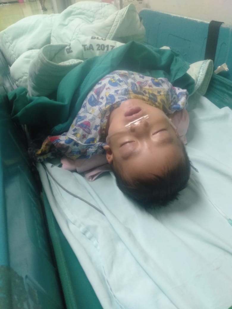 benihbaik_2022-11-17_f2db52a9dabc55a4650975cb9148955b0fc6214c_jpeg