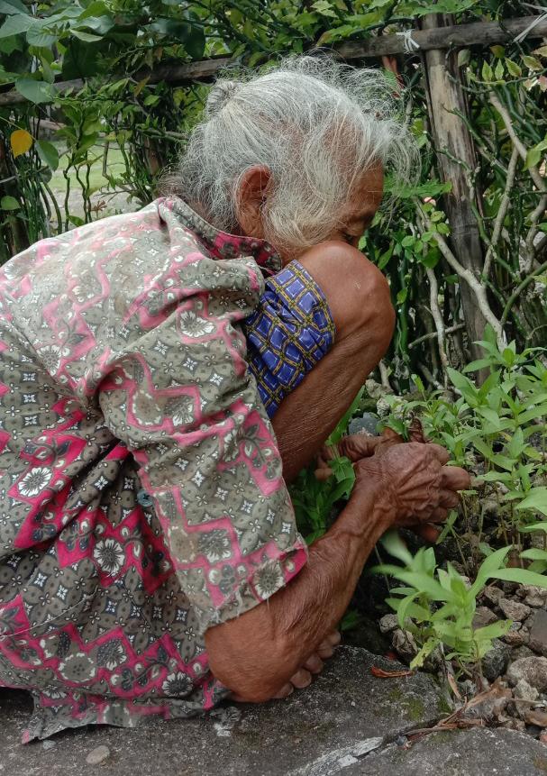 benihbaik_2022-11-22_51a020a25c6de021af987dc3b122ad6d20528e1d_jpeg