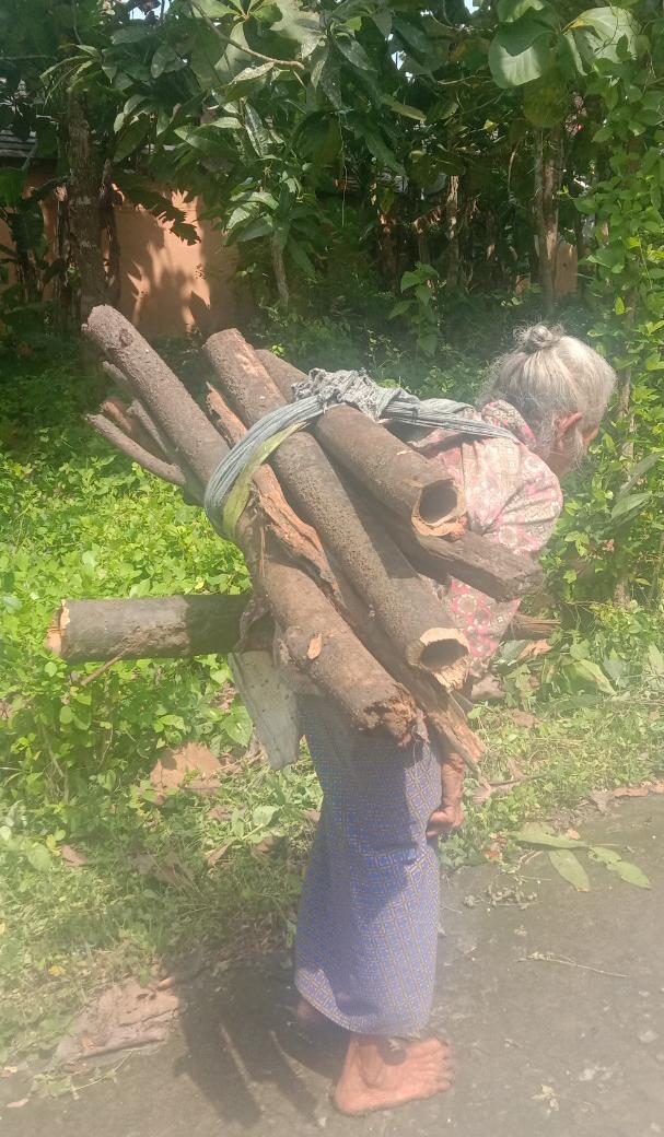 benihbaik_2022-11-22_68da4efd110ddf22a41b6ff9de39a6d9edfe9b3f_jpeg