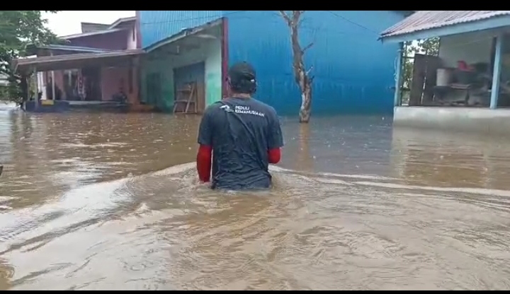 benihbaik_2022-11-22_ef6263b2c234cbf9a47c7697aceb3f5f2ec885ea_jpeg