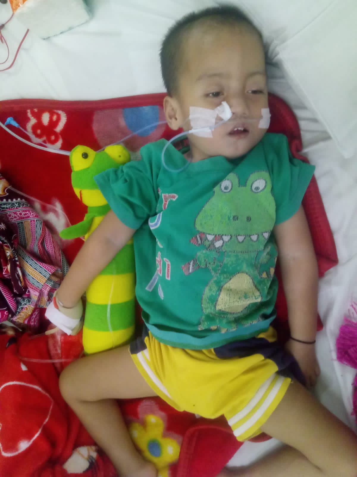 benihbaik_2022-11-28_202e05471ad83f215e062dec256dd26403a5d849_jpeg