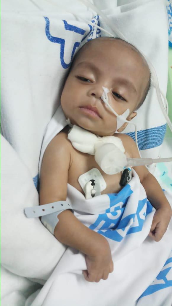 benihbaik_2022-12-14_2b722517fcf6fc47009d73e2d5761d154257efdd_jpeg