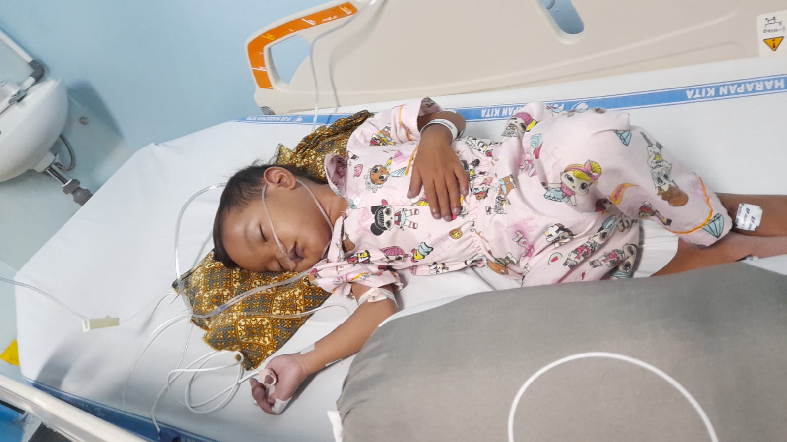 benihbaik_2022-12-16_860a35bc880ac9b873ea922cce5e6102d735bab9_jpeg