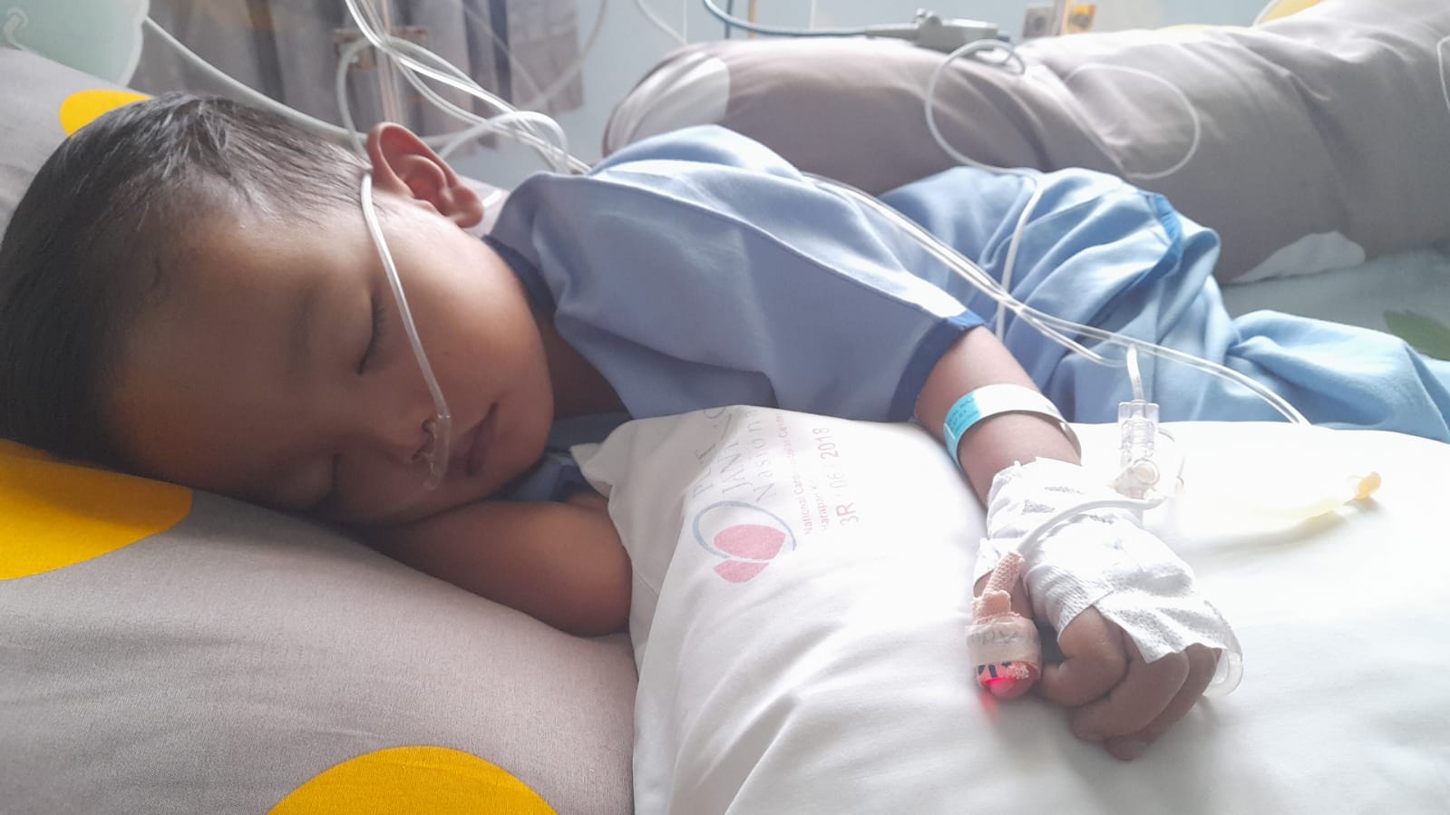 benihbaik_2022-12-16_ca26d68d3cdaecfbb9a0851686dde37fcdbcab8c_jpeg