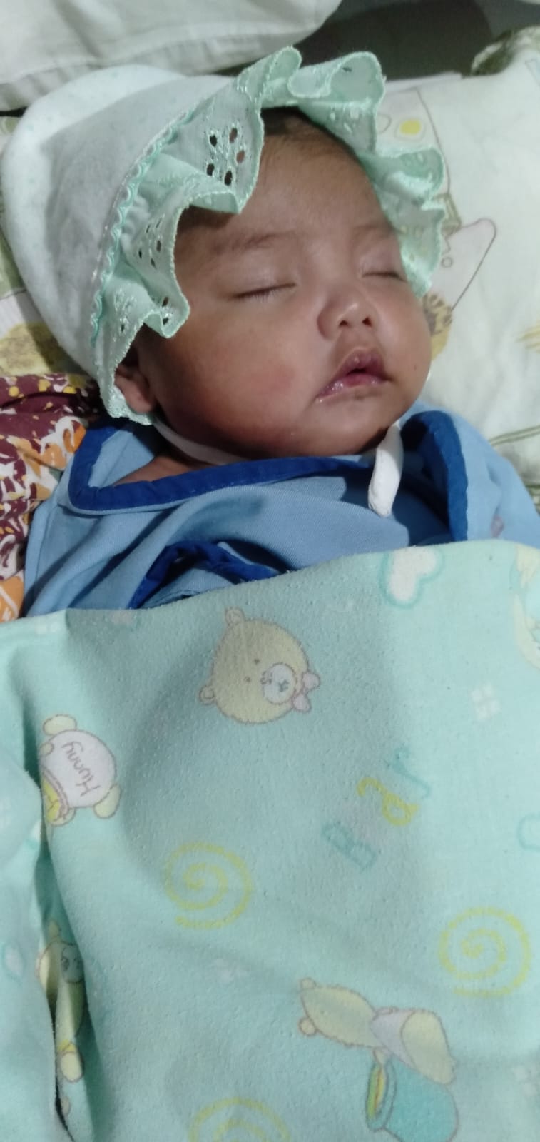 benihbaik_2022-12-19_3a6e66667110bd1c41e62d90c1b8a75ebcdc17f2_jpeg