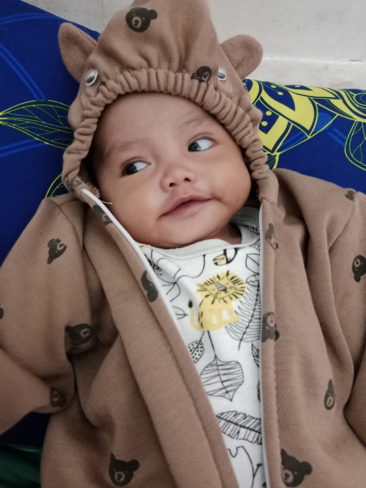 benihbaik_2022-12-19_76a4abbd21c4b8364337731f2757157a1ad1b9ef_jpeg