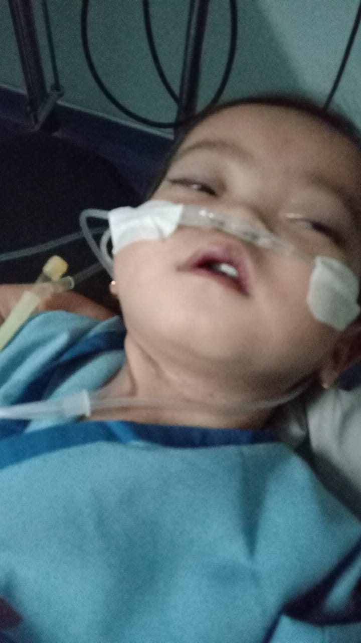 benihbaik_2022-12-20_c68941b2039f0bfa78c1284cf2e6d42f6ffbd8c3_jpeg