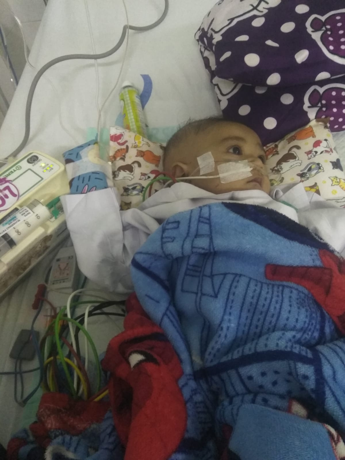 benihbaik_2022-12-21_6d6879eae6d1fdea52c12348f525217a5ef85db1_jpeg