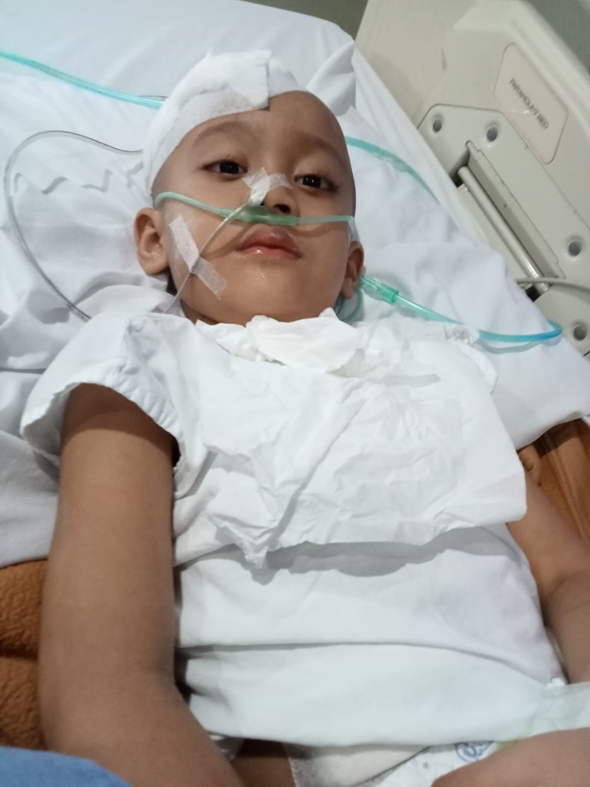 benihbaik_2022-12-22_2a3586191ff6496aa674cb357a4fef475b2b276d_jpeg