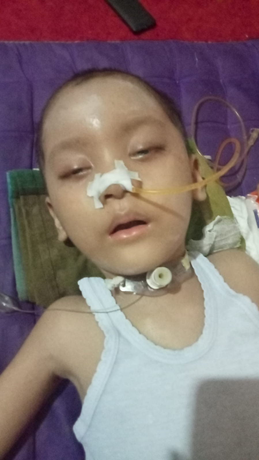 benihbaik_2022-12-22_d77ede00a9fbbd99ec21336dde81a174fee043d9_jpeg