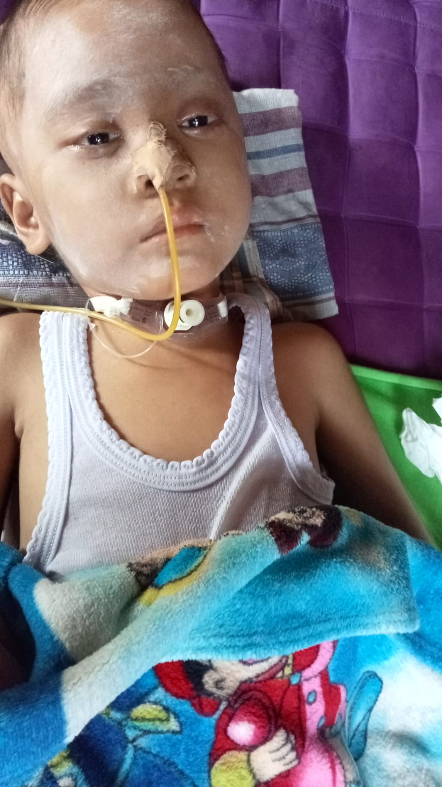 benihbaik_2022-12-22_e411327dc8ad24aed9c88fcaa431416bc0c74bae_jpeg