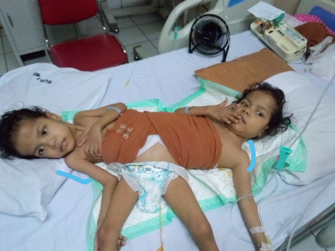 benihbaik_2022-12-26_22178b4088b99238e5ea8ea3a85ab719657baff2_jpeg