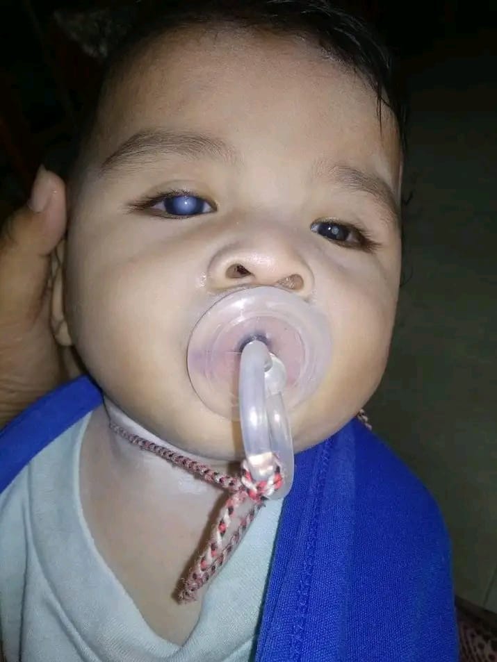 benihbaik_2022-12-27_414af8e5e68666c04ff3422cf4d41e34bd303c00_jpeg